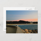 サンライズシーガルズはがき ポストカード (正面/裏面)