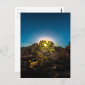 サンライズジョシュアツリーナショナルパーク ポストカード (正面/裏面)