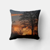 サンライズネイチャー美しい クッション (裏面)