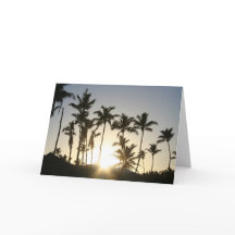 サンライズパームツリーズ