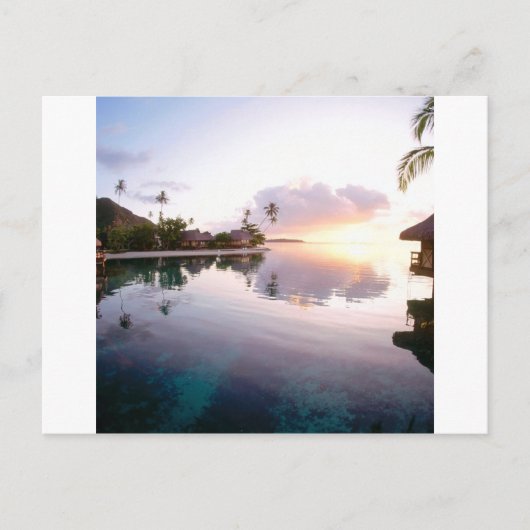 サンライズパームリラコーストカボサンルーカスメキシコ ポストカード (正面)