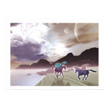 サンライズフロリック