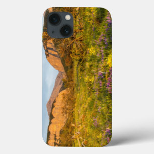 サンライズライツ ブラックリーフキャニオン iPhone 13ケース