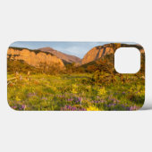 サンライズライツ ブラックリーフキャニオン Case-Mate iPhoneケース (裏面 (横))