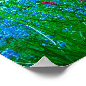 サンライズルピネアンド山レインア ポスター (角)