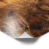 サンライズレインボー フォトプリント            (角)