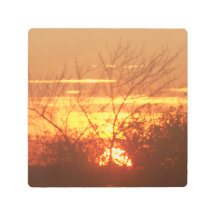 サンライズ写真