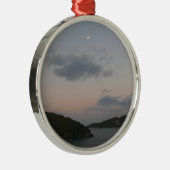 サンライズ島セントトーマスIIIアメリカヴァージン諸島 メタルオーナメント (右)