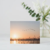 サンライズ自然写真 シーズンポストカード (スタンド正面)