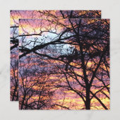 サンライズ (正面/裏面)