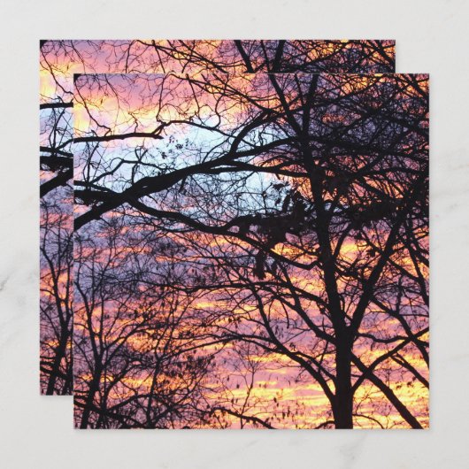 サンライズ (正面/裏面)