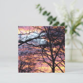 サンライズ (スタンド正面)