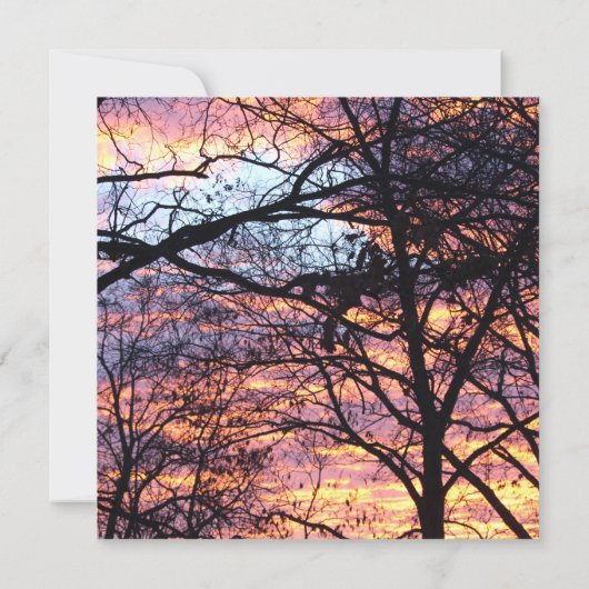 サンライズ (裏面)