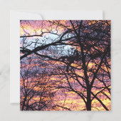 サンライズ (正面)