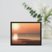 サンライズ、イルカ、カモメ ポストカード (スタンド正面)