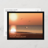 サンライズ、イルカ、カモメ ポストカード (正面/裏面)