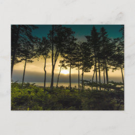 サンライズ・オン・ゴールズボロ・ベイ，メイン ポストカード