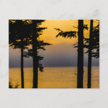 サンライズ・オン・ゴールズボロ・ベイ，メイン