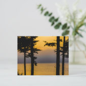 サンライズ・オン・ゴールズボロ・ベイ，メイン ポストカード (スタンド正面)