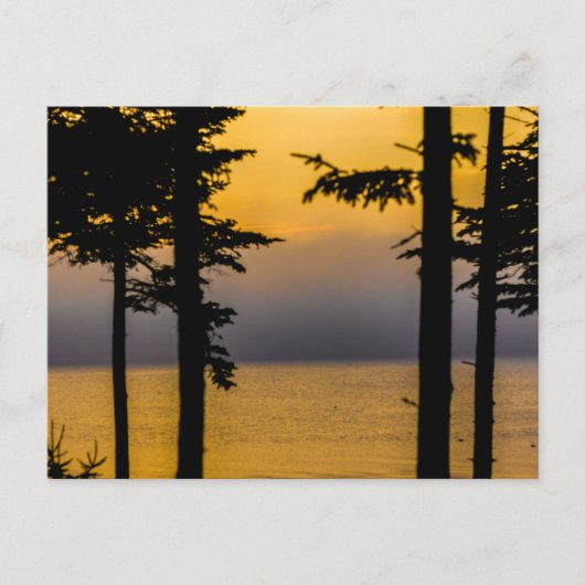 サンライズ・オン・ゴールズボロ・ベイ，メイン ポストカード (正面)