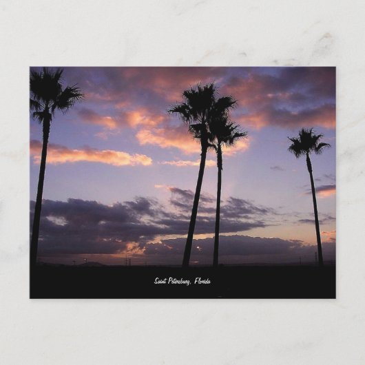 サンライズ、サンクトペテルブルク、フロリダのはがき ポストカード (正面)