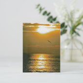 サンライズ ポストカード (スタンド正面)