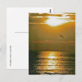 サンライズ ポストカード (正面/裏面)