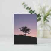 サンライズ ポストカード (スタンド正面)