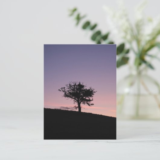 サンライズ ポストカード (スタンド正面)