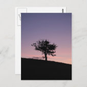 サンライズ ポストカード (正面/裏面)