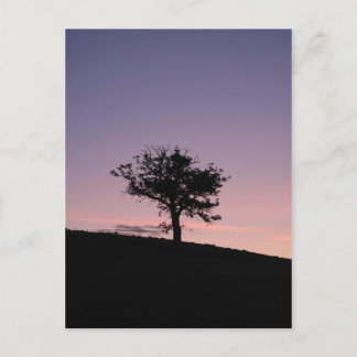 サンライズ ポストカード