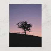 サンライズ ポストカード (正面)