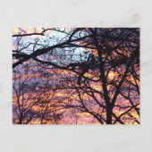 サンライズ ポストカード (裏面)