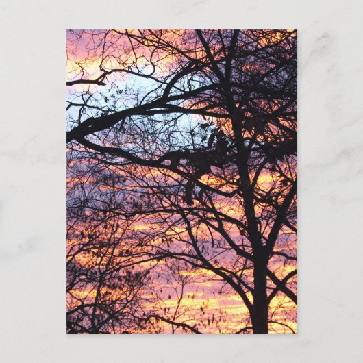 サンライズ ポストカード (正面)