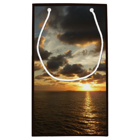 サンライズSt.Thomas Iアメリカヴァージン諸島 スモールペーパーバッグ (裏面)