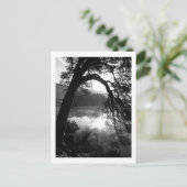 サンライトが松の木を照らすダーウェントウォーター ポストカード (スタンド正面)