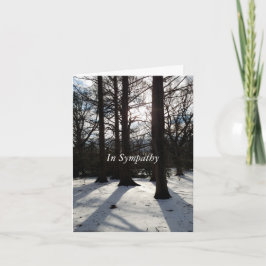 サンライトと影の冬の木に同情 シーズンカード