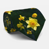 サンライトのダッフォジルのネクタイ ネクタイ (ロール)