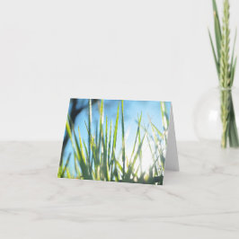 サンライトのブレード カード