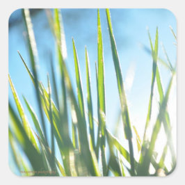 サンライトのブレード スクエアシール