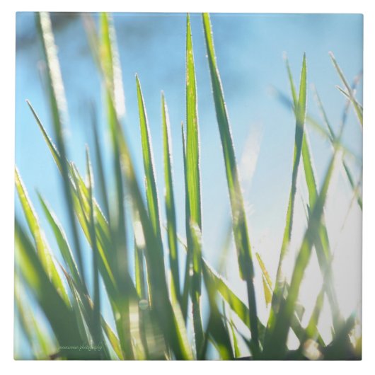 サンライトのブレード タイル (正面)