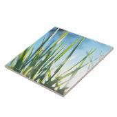 サンライトのブレード タイル (側面)