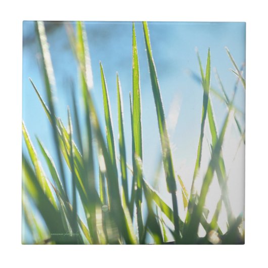 サンライトのブレード タイル (正面)