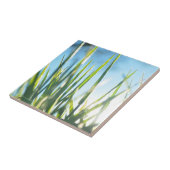 サンライトのブレード タイル (側面)