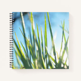 サンライトのブレード ノートブック