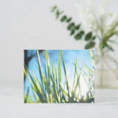 サンライトのブレード ポストカード (スタンド正面)