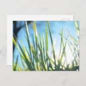 サンライトのブレード ポストカード (正面/裏面)