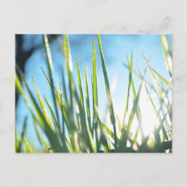 サンライトのブレード ポストカード