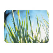 サンライトのブレード マグネット (横)