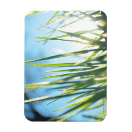 サンライトのブレード マグネット